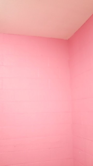 Echo Chambers Part 1 - "Chambers of Myth" - Image 4